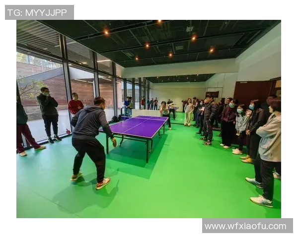 重庆乒乓球队状态分析与未来展望聚焦乒乓球的挑战与机遇